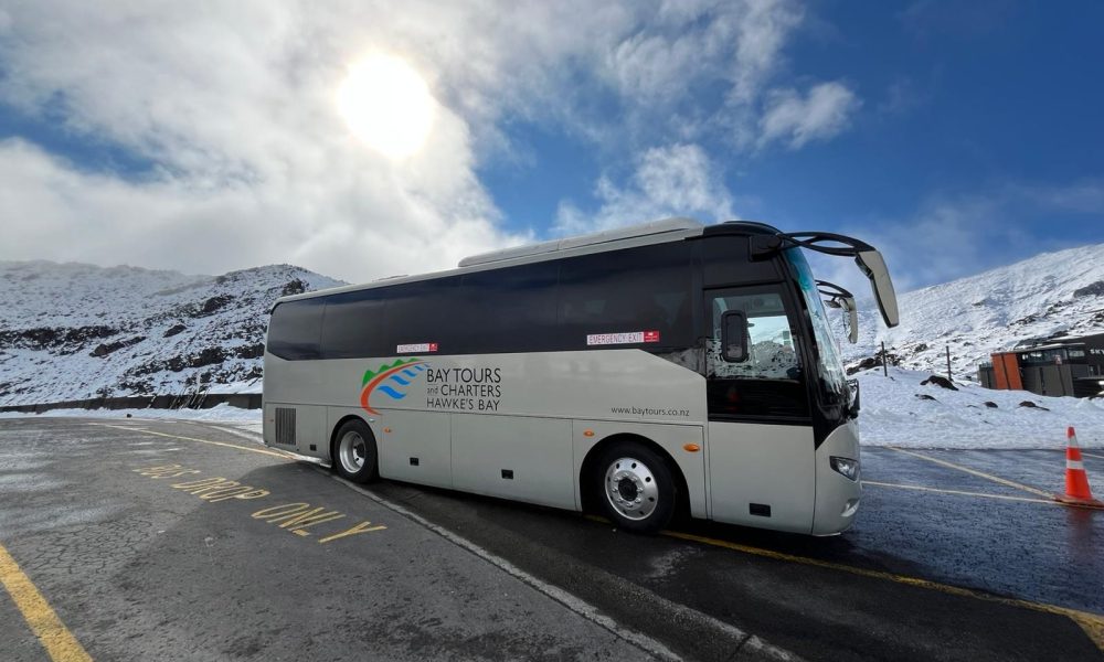 School Bus Charters and School Trips