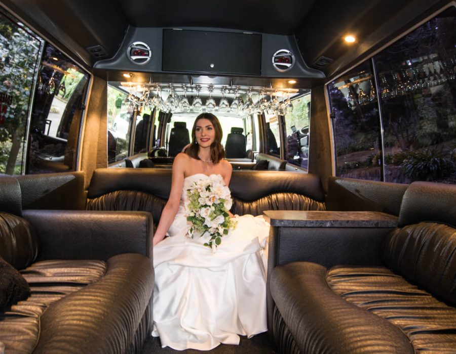 Bride inside Limo (1)