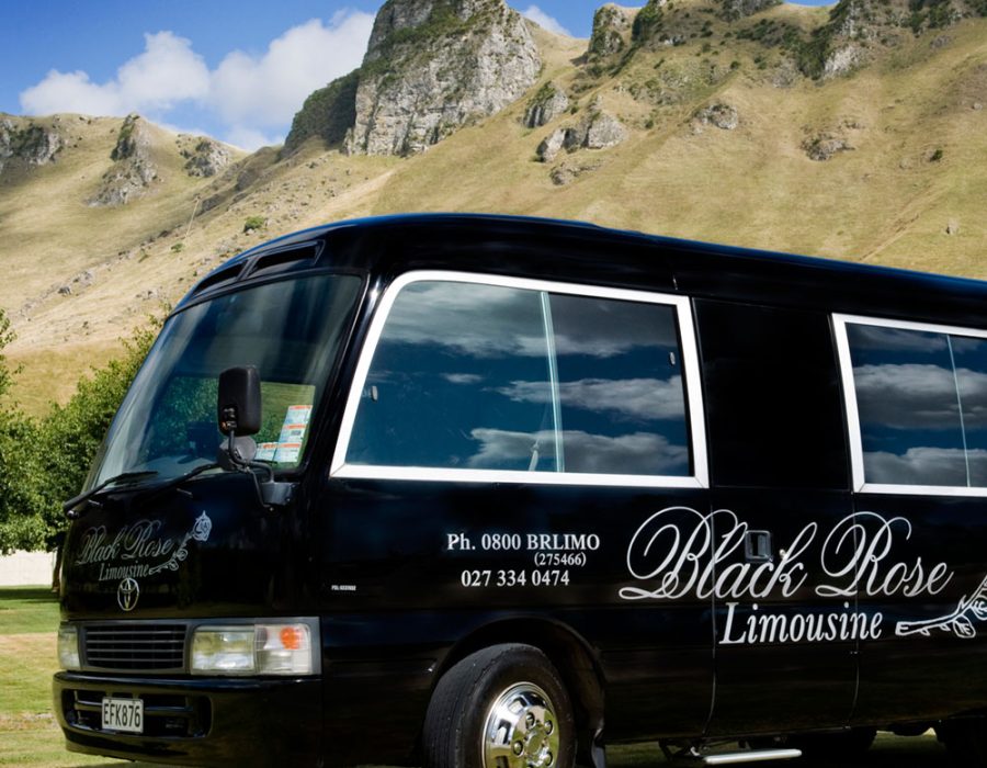 baytours-the-wow-napier-limousine-tour